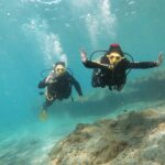 Discover Scuba Diving in Costa Calma - What the Introductory Briefing Covers