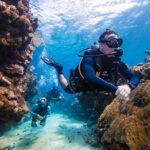 Discover Scuba Diving in Palamos - Meeting Point and Accessibility Details