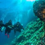 Discover Scuba Diving PADI - Trial dive in Sorrento - Meeting Point and Timing for Your Sorrento Scuba Intro