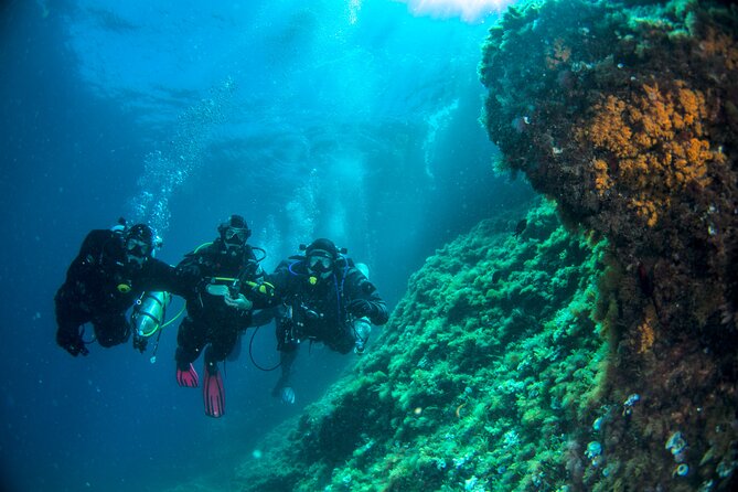 Discover Scuba Diving PADI - Trial dive in Sorrento - Meeting Point and Timing for Your Sorrento Scuba Intro