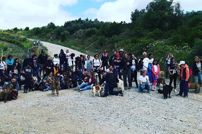 Discover Sintra's Hidden Trails: A Unique Hiking Experience - Highlights of the Natural Wonders Encounter