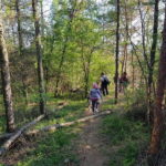 Discover the Charm of Guteria Hill/Sibiu Panorama - Trekkings Through Guteria Hill’s Stunning Trails