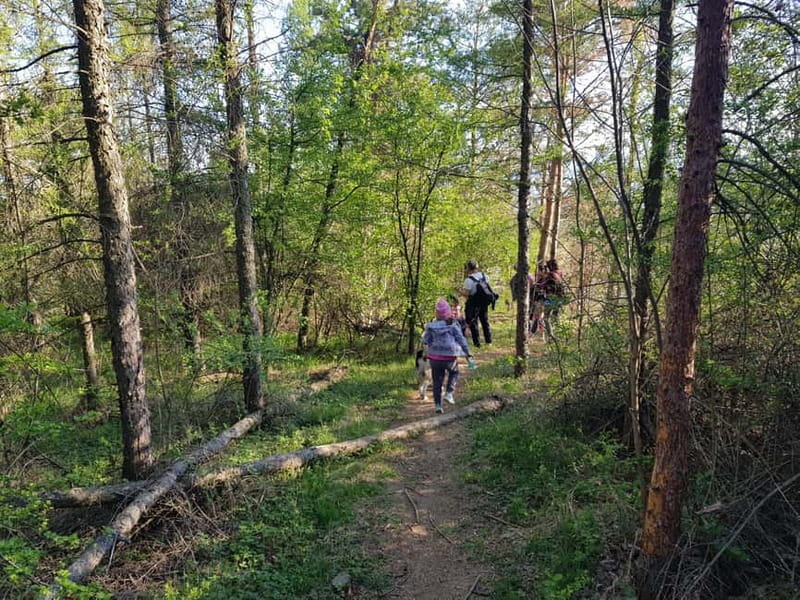 Discover the Charm of Guteria Hill/Sibiu Panorama - Trekkings Through Guteria Hill’s Stunning Trails