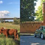 Discover the Dutch Countryside: Car Tour with Local Expert - Customizable Routes Through the Dutch Landscape