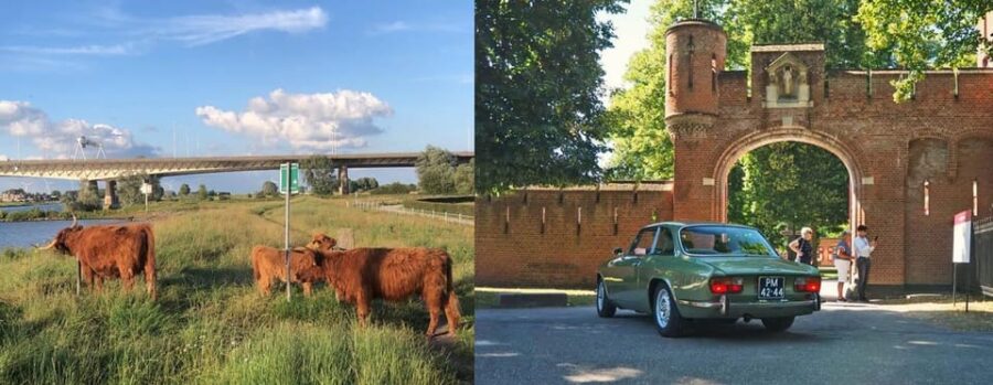Discover the Dutch Countryside: Car Tour with Local Expert - Customizable Routes Through the Dutch Landscape