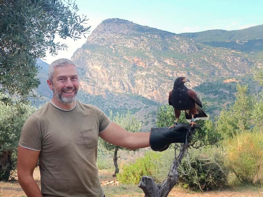 Discover the fantastic world of birds of prey in the Pollino National Park. - An Authentic Educational Journey into Birds of Prey