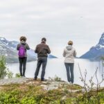 Discover the Fjords of Kvaloya - a roadtrip along fjords and fishing villages - Wildlife Spotting: Reindeer, Seals, and Dolphins
