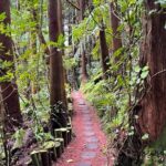 Discover the Hidden Gems of São Miguel - Full Day Private Tour - Exploring Sete Cidades: A Volcanic Masterpiece