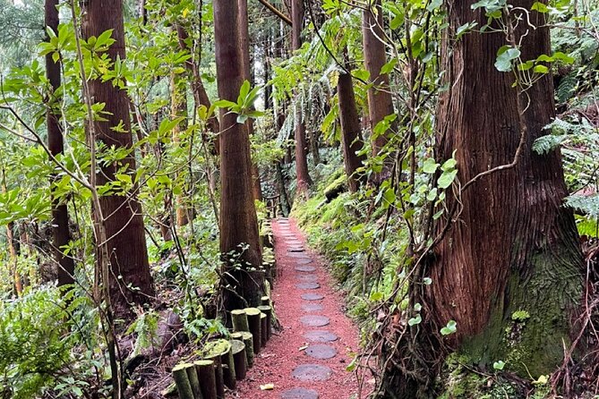 Discover the Hidden Gems of São Miguel - Full Day Private Tour - Exploring Sete Cidades: A Volcanic Masterpiece