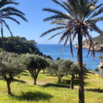 Discover the Island Dragonera by kayak and on foot - Kayaking to Sa Dragonera: An Active Voyage with Stunning Views