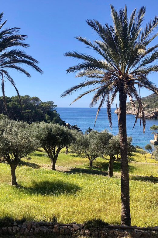 Discover the Island Dragonera by kayak and on foot - Kayaking to Sa Dragonera: An Active Voyage with Stunning Views