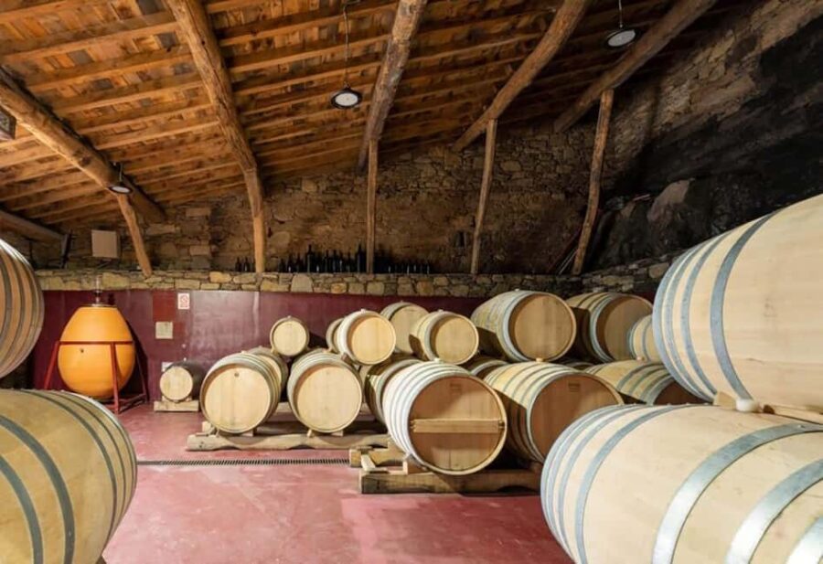 Discover the Ribeira Sacra with a unique wine experience! - Tasting the Core Wines of Ribeira Sacra