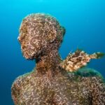 Discover the underwater world of Lanzarote - What the Tour Content Includes