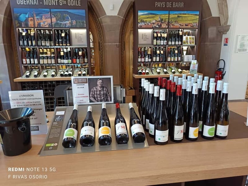 Discover the Wines of Alsace and a brief introduction to Strasbourg. - Starting Point at Place Kléber and the First Photo Stops