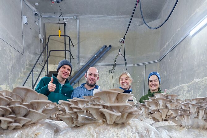 Discover the World of Mushrooms - Exploring Zurich’s Urban Mushroom Culture