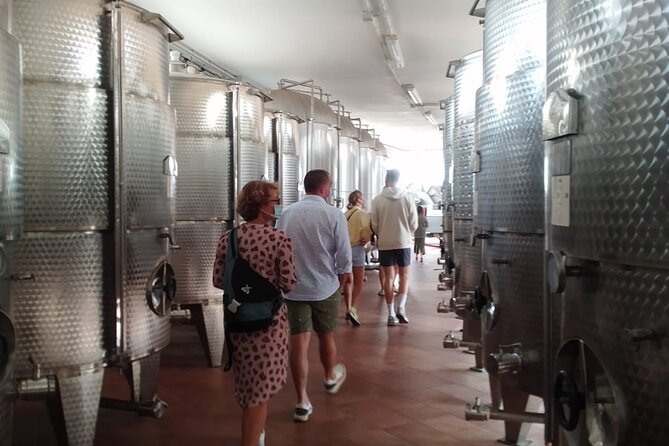 Discover Valle d 'Itria and its wines by ebike - Riding along sheep tracks and the Aqueduct Cycle Route