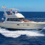 Discover whales in Tenerife: exclusive yacht tour with swim and lunch - Exclusive Yacht with Ample Space for Comfort