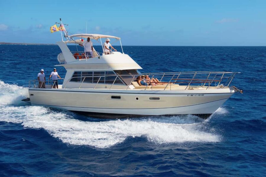 Discover whales in Tenerife: exclusive yacht tour with swim and lunch - Exclusive Yacht with Ample Space for Comfort