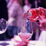 Discovering Dogliani and the territories of Alta Langa - Visiting the Winery: Guided Tour and Processing Narration