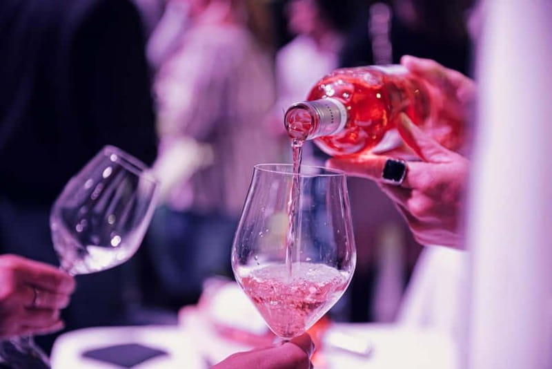 Discovering Dogliani and the territories of Alta Langa - Visiting the Winery: Guided Tour and Processing Narration