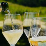 Discovery of a Champagne from Vintner, from the cellar to the tasting - Starting Point at Ville-sur-Arce for an Intimate French Champagne Tour