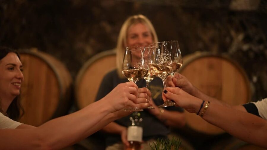 Discovery tour - cellar tour with wine tasting - Discover the Unique Cellar Tour and Wine Tasting in Koblenz