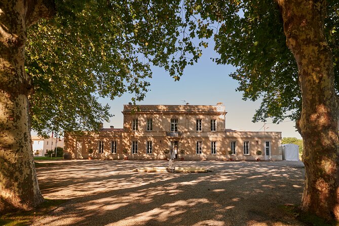 Discovery Tour of Château Haut Breton Larigaudière - Exploring the Château Haut Breton Larigaudière Estate
