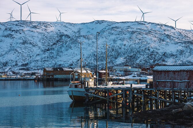 Discovery tour of the island of Senja and Kvaløya from Tromsø - From the Tromsø Meeting Point to Senja’s Spectacular Fjords