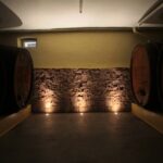 Discovery Vineyard - Cellar Visit and Winemaking Insights