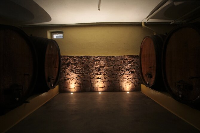 Discovery Vineyard - Cellar Visit and Winemaking Insights