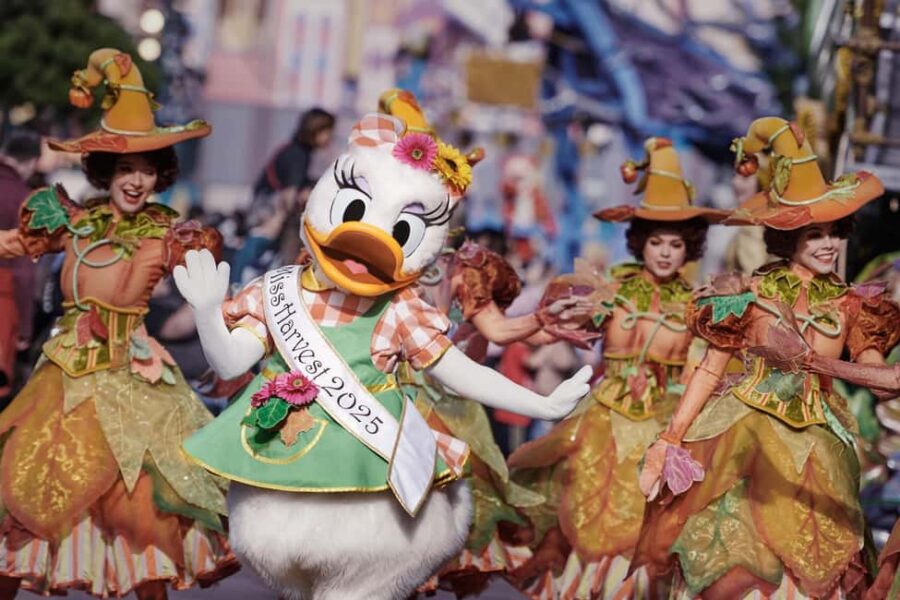 Disneyland® Paris Tickets and Shuttle Transport - Details of the Five Central Paris Meeting Points