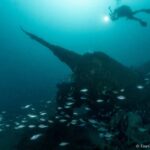 Dive the U-boat 1277 - the Most Iconic Dive in Portugal - Starting Point at Marina de Leça and Safety Briefing