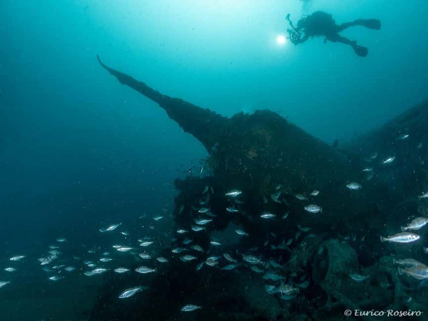 Dive the U-boat 1277 - the Most Iconic Dive in Portugal - Starting Point at Marina de Leça and Safety Briefing