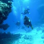 Diving Baptism - Personalized Diving Experience with Expert Guidance