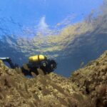 Diving baptism in the Marine Reserve of Cabo Tiñoso - What to Expect During the Diving Baptism
