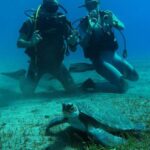 Diving course for beginners in turtle area Tenerife - The Full Training Course and Safety Briefing