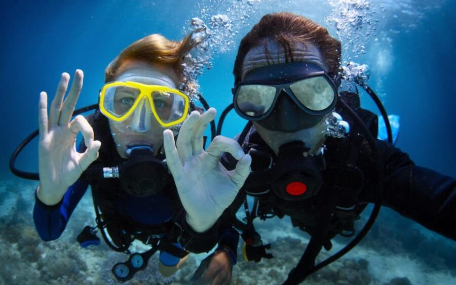 Diving Tour from Alanya & Side with Lunch - 2 Dives Included - Starting Point and Transportation Details
