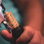 Dogliani: Tasting of 7 Wines in the Heart of the Langhe - Starting Point at Borgata Santa Lucia, 36