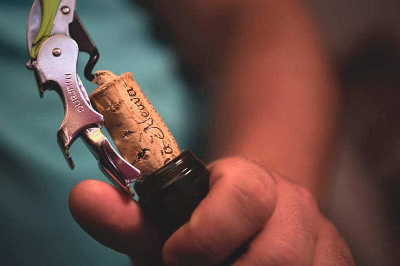 Dogliani: Tasting of 7 Wines in the Heart of the Langhe - Starting Point at Borgata Santa Lucia, 36