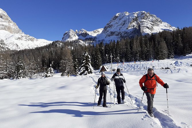 Dolomites Snowshoes Experience - Route and Highlights: From Forests to Mountain Huts