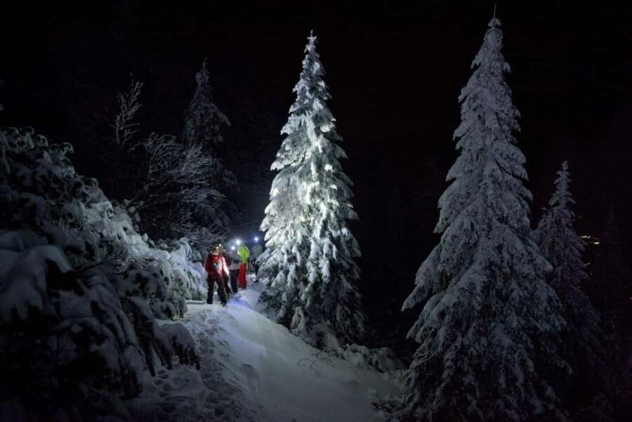 Dolomiti/Paganella: Snowshoeing in the moonlight - Starting Point at Mmove® - Into Nature in Andalo