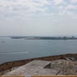 DOLPHIN LOVERS FULL DAY TOUR - Starting Point: Easy Pickup in Lisbon