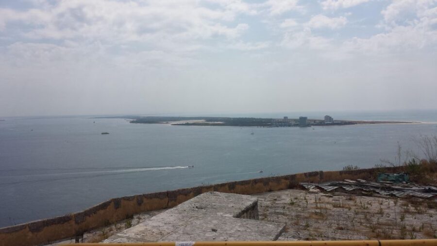 DOLPHIN LOVERS FULL DAY TOUR - Starting Point: Easy Pickup in Lisbon