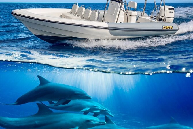 Dolphin Tours in Fuerteventura - Duration and Pacing of the Marine Wildlife Observation