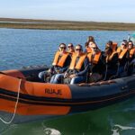 Dolphin Watching + 2 Islands Tour - From Faro - Faros Coastal Departure for Atlantic Wildlife