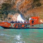 Dolphin Watching and Caves Cruise - Starting Point at Albufeira Marina