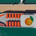 DOLPHIN WATCHING & BENAGIL CAVE TOUR FROM LAGOS - DUAL TRIP - Starting Point at Marina de Lagos