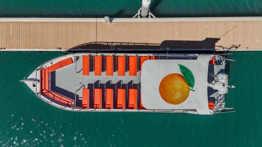 DOLPHIN WATCHING & BENAGIL CAVE TOUR FROM LAGOS - DUAL TRIP - Starting Point at Marina de Lagos