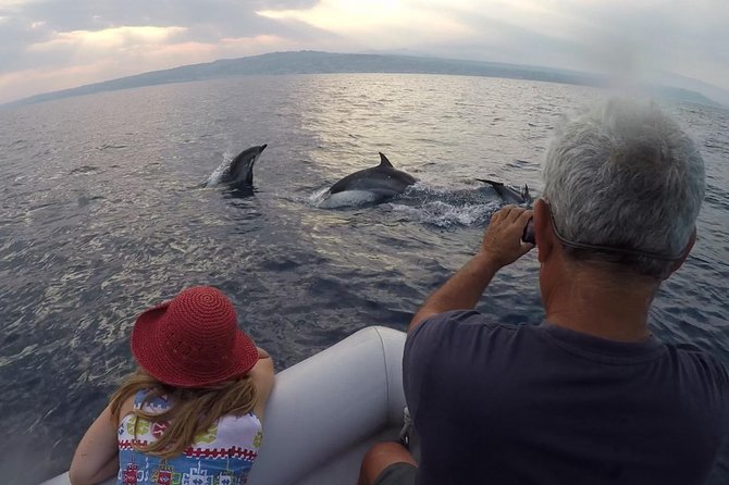 Dolphin Watching & Conservation - Dolphins in the Gulf of Catania - How the Tour Follows Strict Conservation Rules