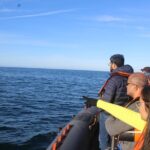 Dolphin Watching from Faro - Atlantic Ocean and Marine Life: The Main Dolphin Search